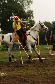 tl_files/images/bilder_mounted_games/clip_image006.jpg